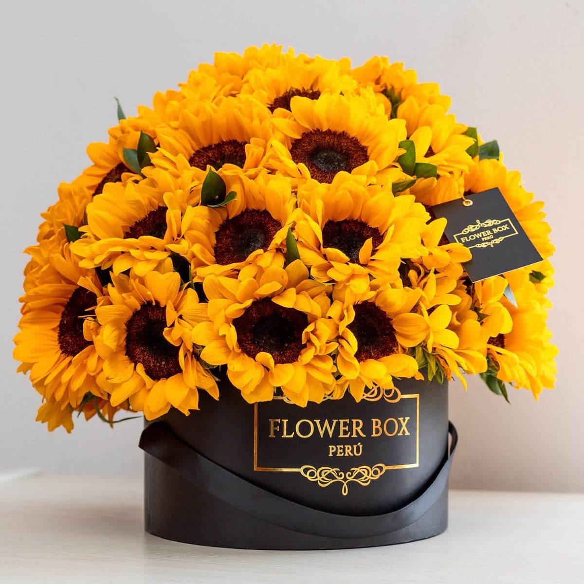 GIRASOLES