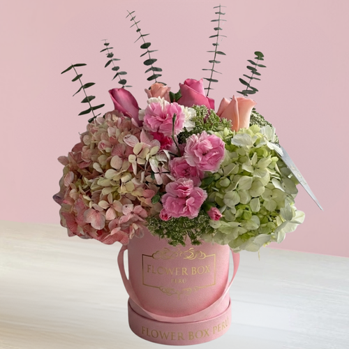 Box Amelia Hortensias