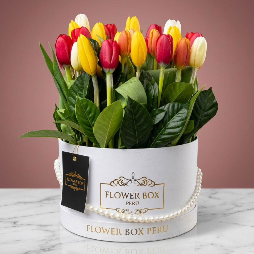 Tulips Box Extragrande