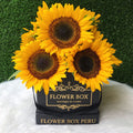 Square Box Girasoles