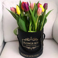 Tulips Box 10 Tulipanes