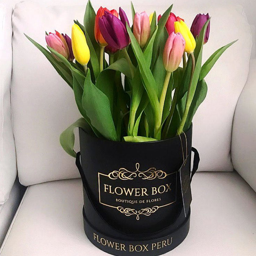 Tulips Box 10 Tulipanes