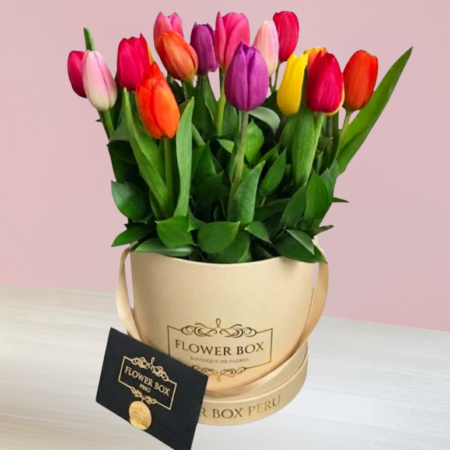 Tulips Box 30 Tulipanes