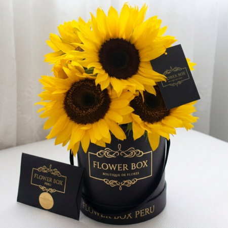 Classic Box Girasoles