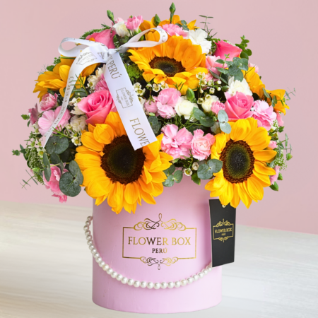 Box Aitana Girasoles