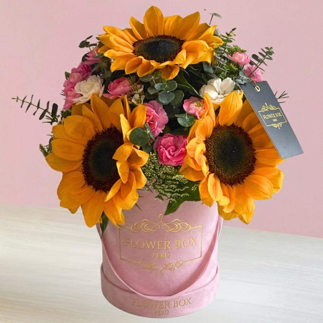 Box Chiara Girasoles