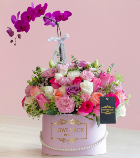 Deluxe Box Sophia