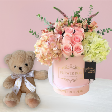 Pack Box Catalina + Peluche Teddy Bear