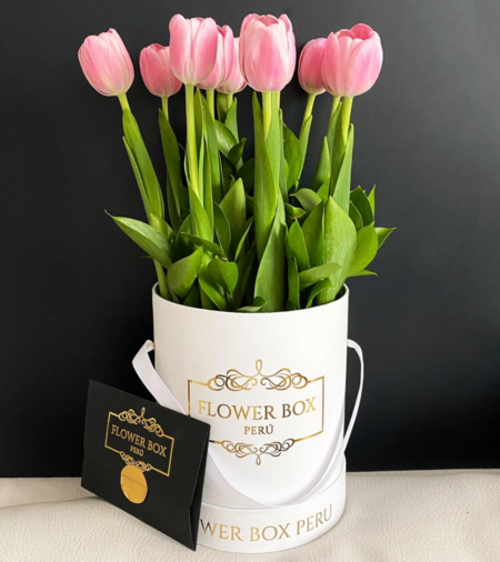 Tulips Box
