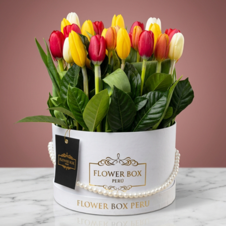 Tulips Box Extragrande