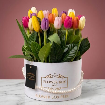 Tulips Box Extragrande